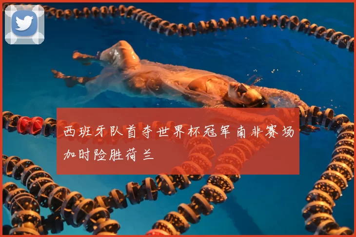 西班牙队首夺世界杯冠军南非赛场加时险胜荷兰