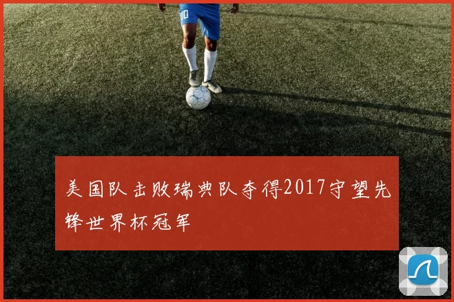 美国队击败瑞典队夺得2017守望先锋世界杯冠军